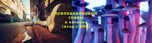 амф Бронницы