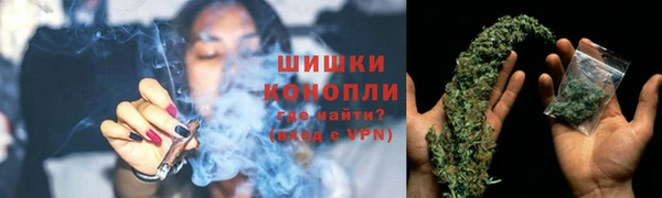 амф Бронницы