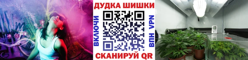 Конопля марихуана Кашин